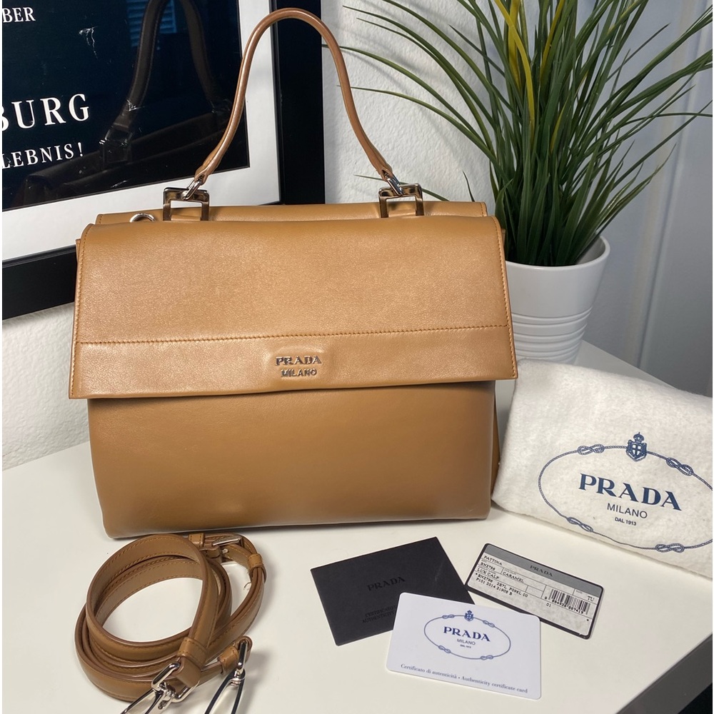 RARE PRADA Runway/AD 2014 Vitello Lux Calf Double Flap Satchel COA